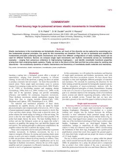COMMENTARY From bouncy legs to poisoned arrows: elastic