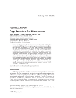 Cage restraints for rhinoceroses