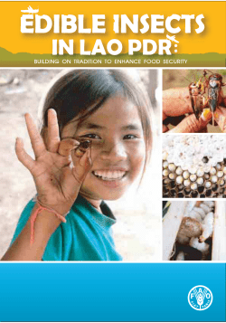 Edible insects in Lao PDR - Food and Agriculture Organization of