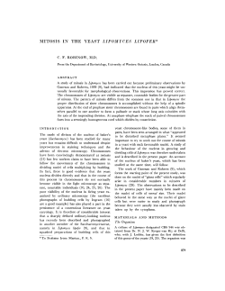 MITOSIS IN THE YEAST LIPOMYCES LIPOFER