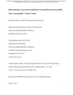 Differential gene expression in populations of sympathetic