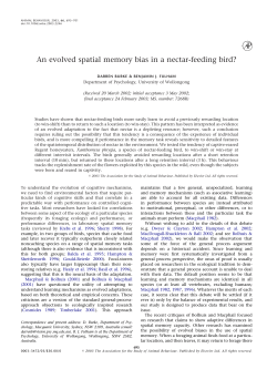 An evolved spatial memory bias in a nectar