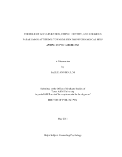THE ROLE OF ACCULTURATION, ETHNIC IDENTITY, AND