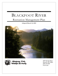blackfoot river
