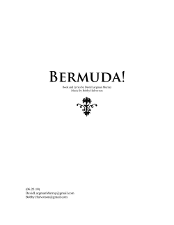 BERMUdA! - davidlargmanmurray