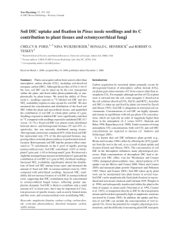 Soil DIC uptake and fixation in Pinus taeda seedlings and its C