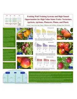 Apricots Tunnel Poster 2012
