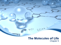 Organic Molecules