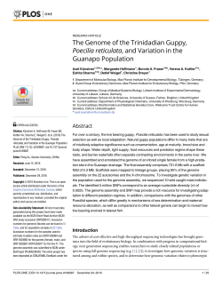 The Genome of the Trinidadian Guppy, Poecilia reticulata, and