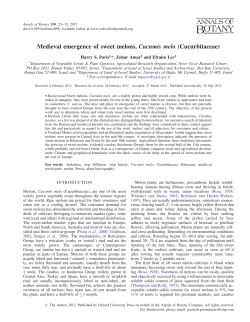 Medieval emergence of sweet melons, Cucumis