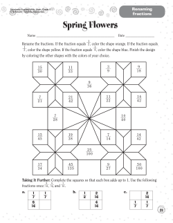 Spring Flowers