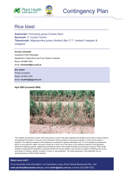 Rice blast CP - Plant Health Australia