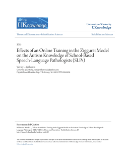 Effects of an Online Training in the Ziggurat Model on