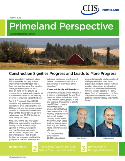 Primeland Perspective