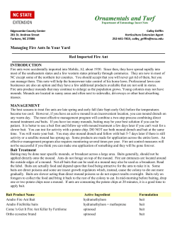 Managing Fire Ants In Your Yard