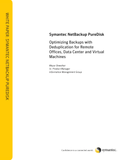 PureDisk - Semantic Scholar