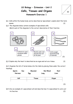 Cells, Tissues and Organs