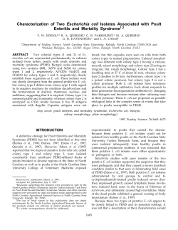 Characterization of Two Escherichia coli Isolates Associated with