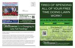 a printable brochure describing lawn and landscape services that