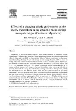 Effects of a changing abiotic environment on the energy metabolism