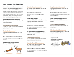Deer Resistant Shoreland Plants - langlade county land records