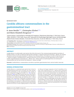 Candida albicans commensalism in the gastrointestinal tract