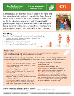 Giant Sequoias - Save the Redwoods League
