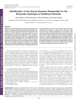Identification of the Human Enzymes Responsible for the Enzymatic
