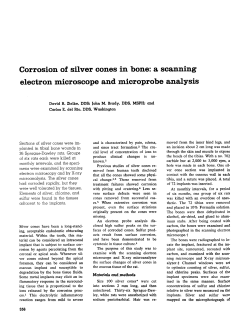 Corrosion of silver cones in bone, SEM analysis