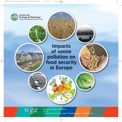 Impacts of ozone pollution on food security in Europe