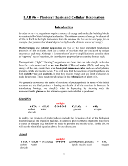 LAB #6 Photosynthesis and Cellular Respiration