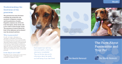 The facts about pancreatitis and your pet