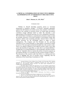 a critical consideration of executive orders