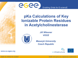 pKa Calculations of Key Ionizable Protein Residues