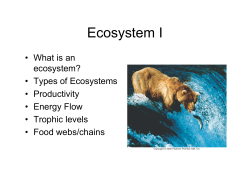 Ecosystem I