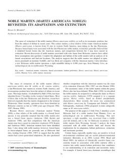 Full Text  - Journal of Mammalogy