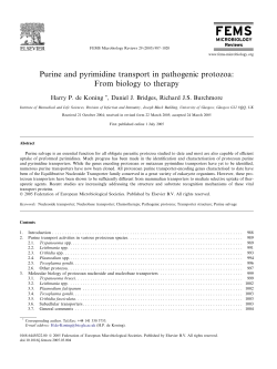 Purine and pyrimidine transport in pathogenic protozoa: From