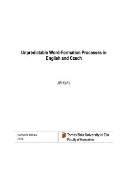 &Scaron;ablona -- Diplomov&aacute; pr&aacute;ce