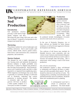 Turfgrass Sod Production