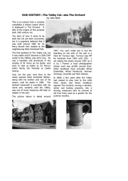 OUR HISTORY&mdash;The Tabby Cat&mdash;aka The Orchard