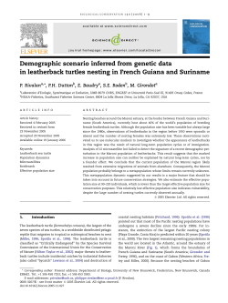 Demographic scenario inferred from genetic data in leatherback