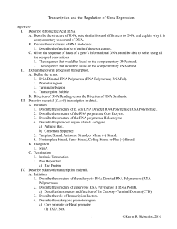 Transcription and the Regulation of Gene Expression