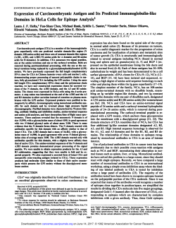 Expression of Carcinoembryonic Antigen and Its