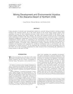 Mining Development and Environmental Injustice in the Atacama