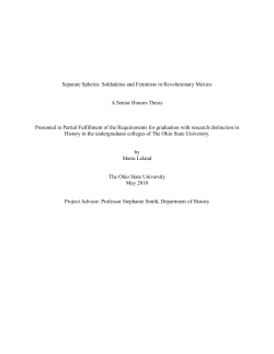 Separate Spheres: Soldaderas and Feminists in Revolutionary