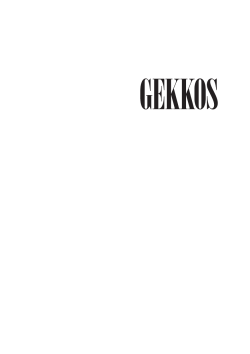 BAR MENU - Gekkos Bar