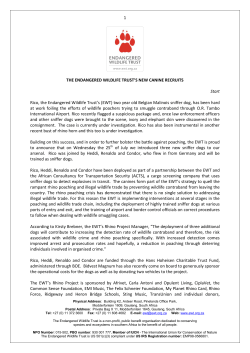 the endangered wildlife trust celebrates the international day of