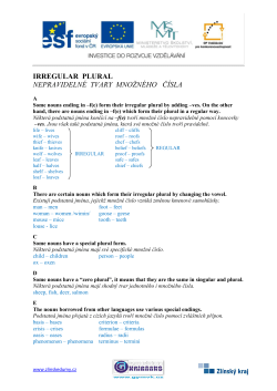 IRREGULAR PLURAL NEPRAVIDELN&Eacute; TVARY MNOŽN&Eacute;HO Č&Iacute;SLA
