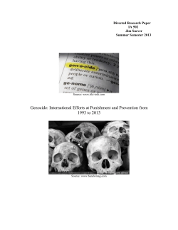 Genocide: International Efforts at Punishment