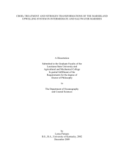 cbod5 treatment and nitrogen transformations of the marshland